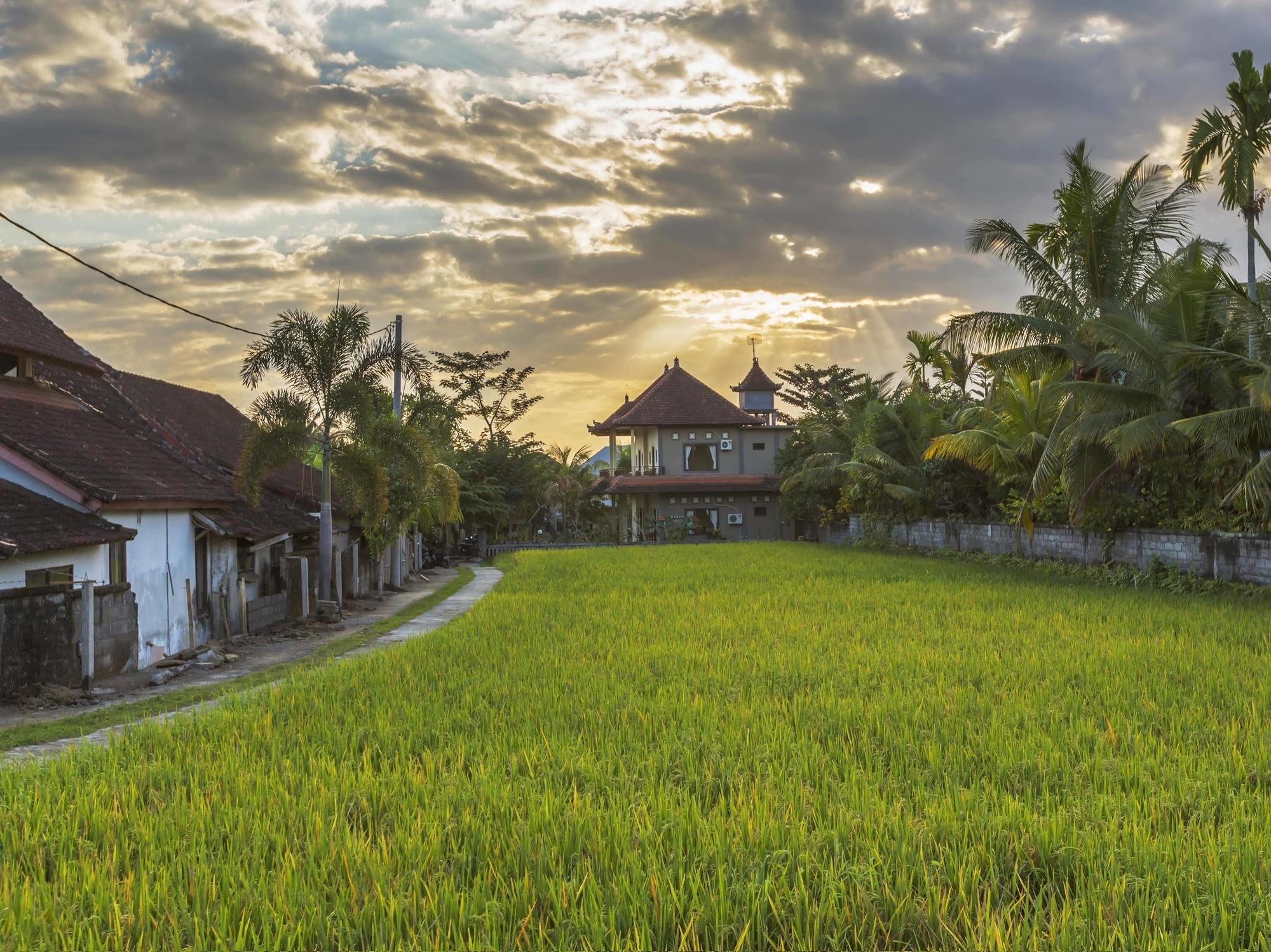 Abipraya Ubud Dış mekan fotoğraf